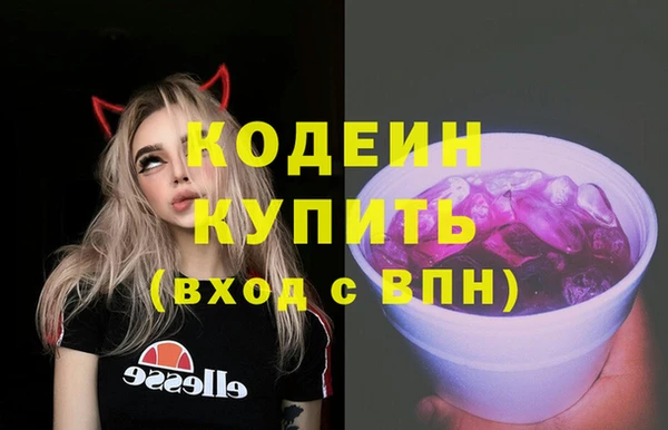 молекула духа Богородицк