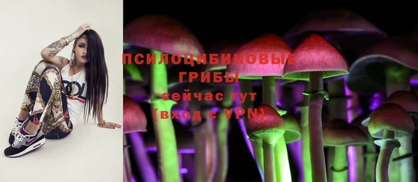 молекула духа Богородицк