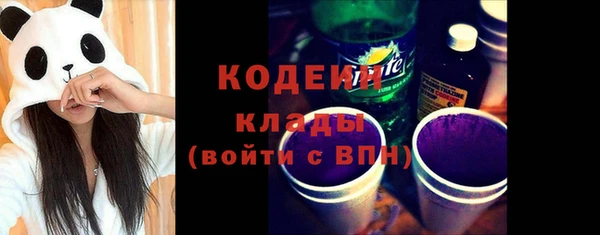 молекула духа Богородицк