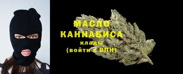 молекула духа Богородицк
