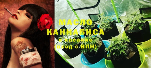 молекула духа Богородицк