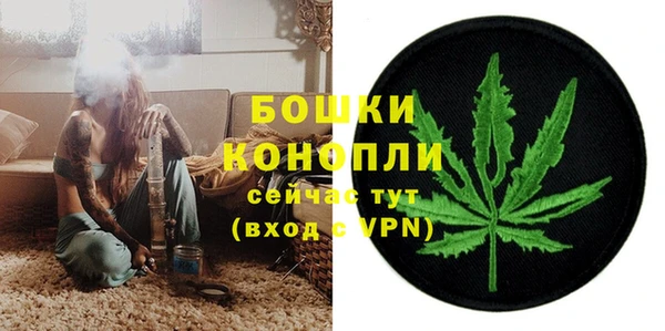 дурь Богородск